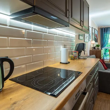Vintage Apartament *